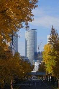 名古屋の街の紅葉