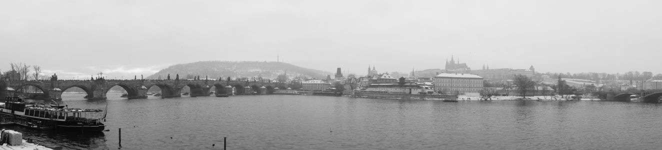 モルダウ川 スイングパノラマ