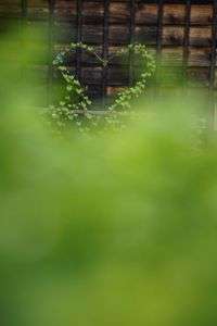 みどりの愛をはぐくむ