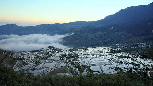 中国雲南省元陽の棚田