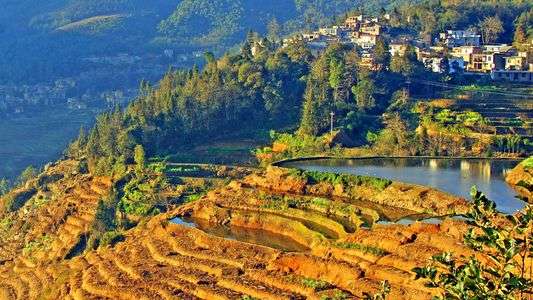 中国雲南省元陽の棚田