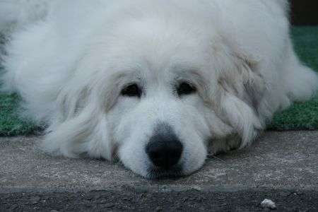 おやすみ・・・・ｚｚｚｚ