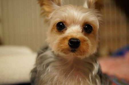 ん？写真？一枚だけね