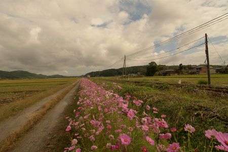 果てしなく続く
