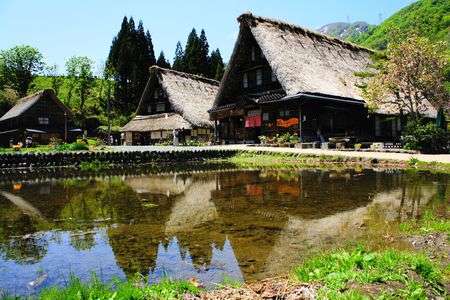 水田と合掌造り