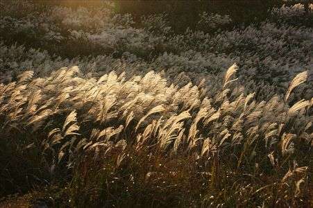 生石高原の朝日