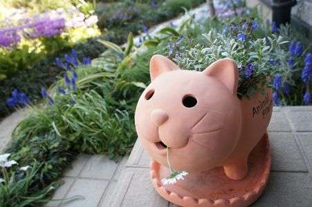 外ネコさんと家ネコさん