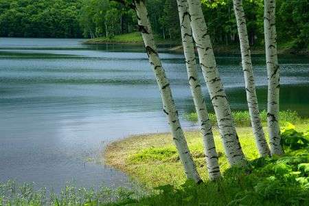 初夏の湖畔