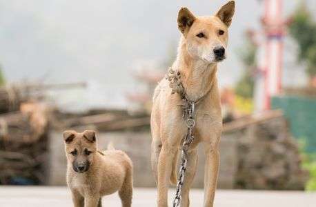 こっちに来ないで。