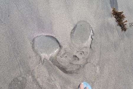 ミッキー現る？！