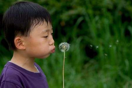 綿帽子に願いを込めて