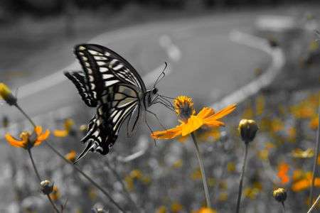 サービスエリアにてお食事中