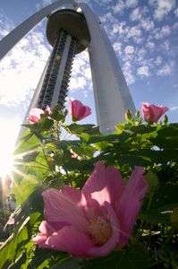 ツインアーチ138