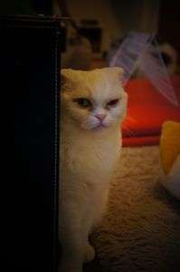 何かねらってる？？！