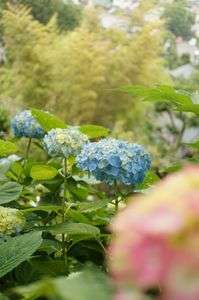 ならんでならんで