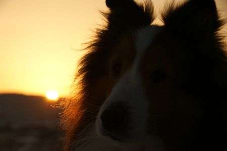 眩しいから・・・