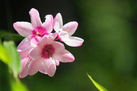 森林公園にて。