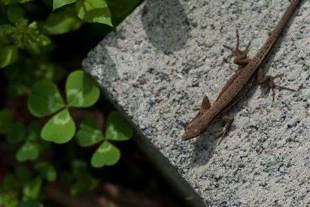 春、ですねえ。