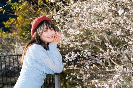 小原四季桜と紅葉のポートレート