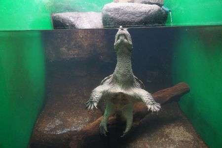 リラックスしてます