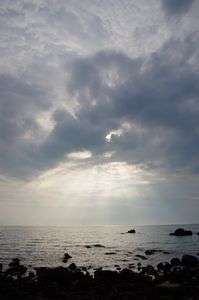 抑えきれない光