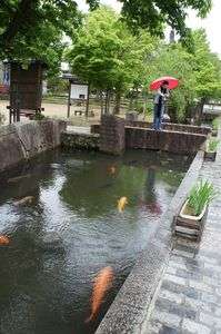 こい、こーい♪