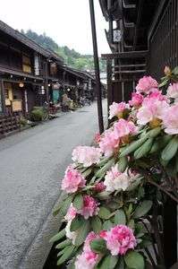 高山の古い町並