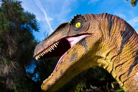 またもや登場！！