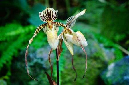 ワレワレハ・・・