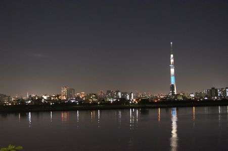 東京タワーも写ってます