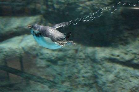 伊豆・三津シーパラダイスにて