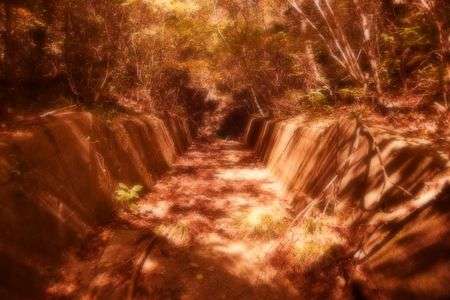 ヒカリノセカイ〜wonderForest〜