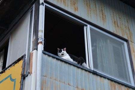 なに見てんだよ？