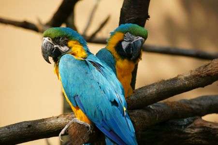 何だよ。　いや、べつに・・・