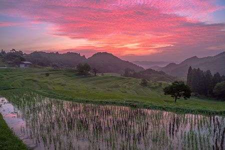 Fantastic Moment - Red  and Green -