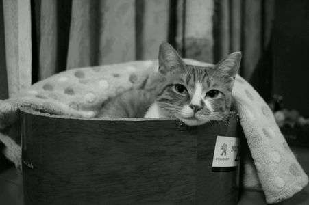 朝晩まだまだ冷えますね～