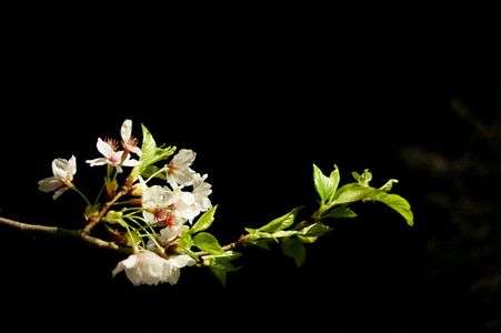 闇へ手を伸ばす