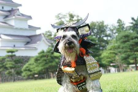 がんばろう!東北！