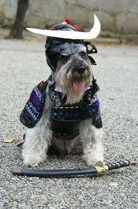 いざ！復興応援へ