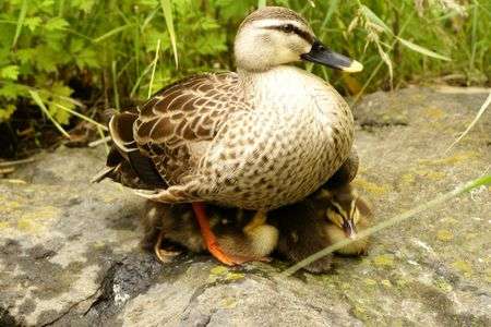 おしくらまんじゅう　part3