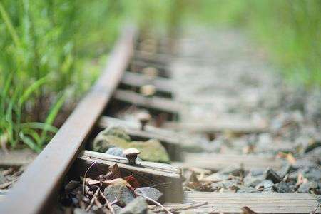 αでoldlensその４