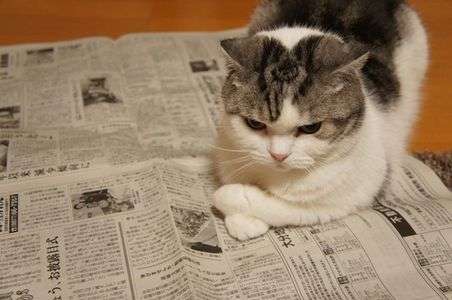 今日のニュース