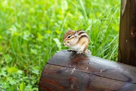 もぐもぐタイム