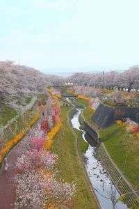 しばた千桜橋