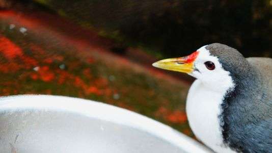 あっちには・・・