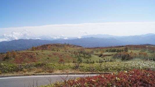 2011紅葉 志賀高原ツーリング…赤もみじ★みっけ！