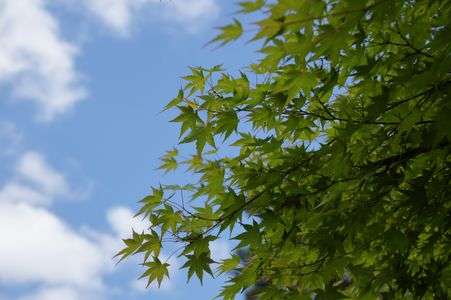 空って青かった