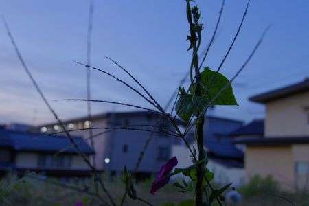 夏と秋のはざまで・・・・