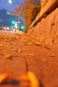 ありの気持ち・・・・。