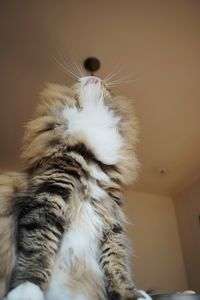 すくっと立って・・・